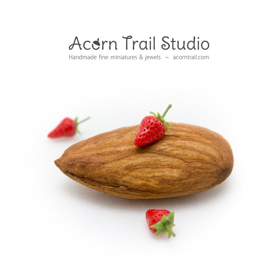 Acorn Trail Studio 2