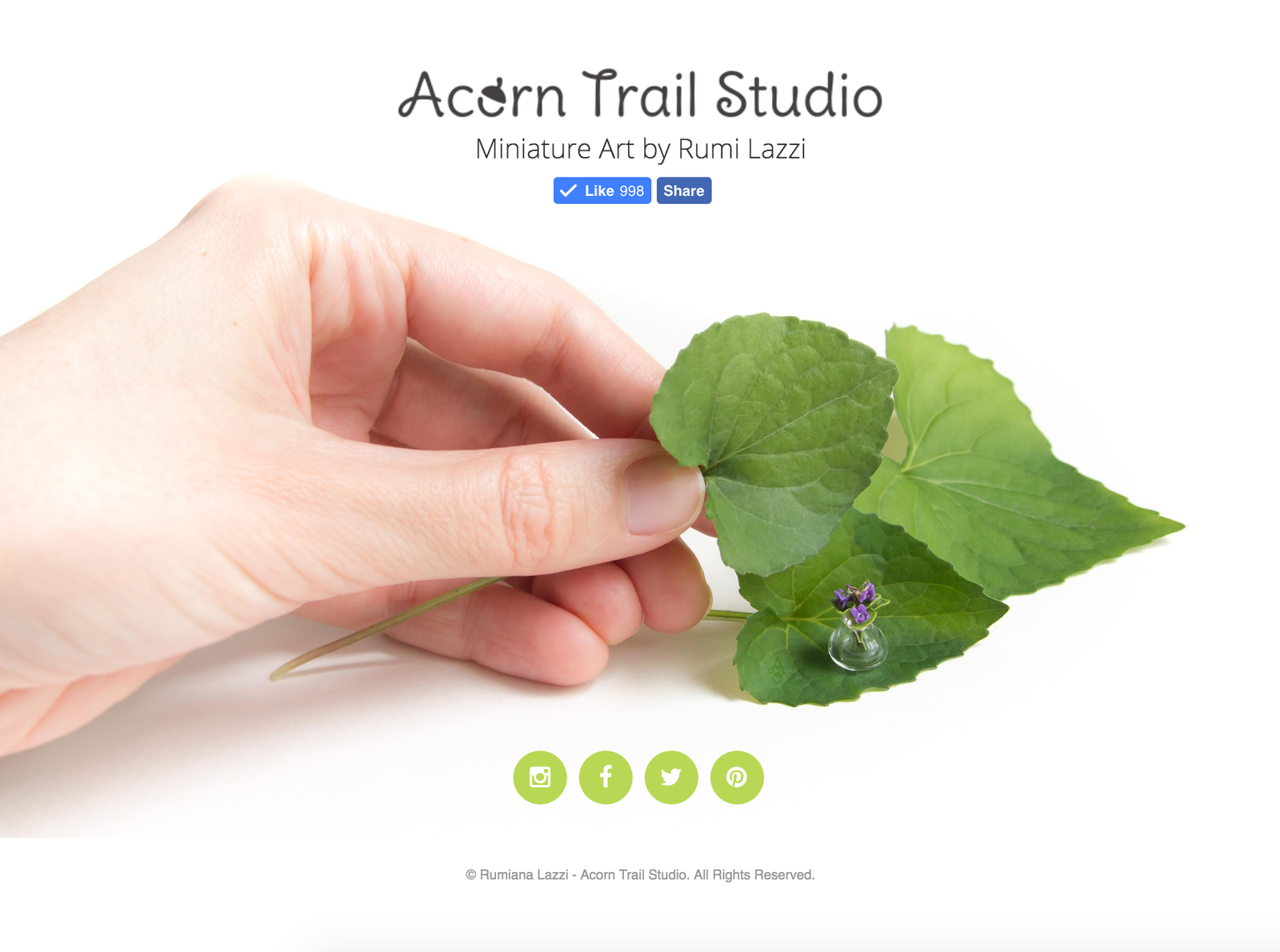 Acorn Trail Studio 8